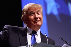 Donald-Trump-Making-Smug-Face